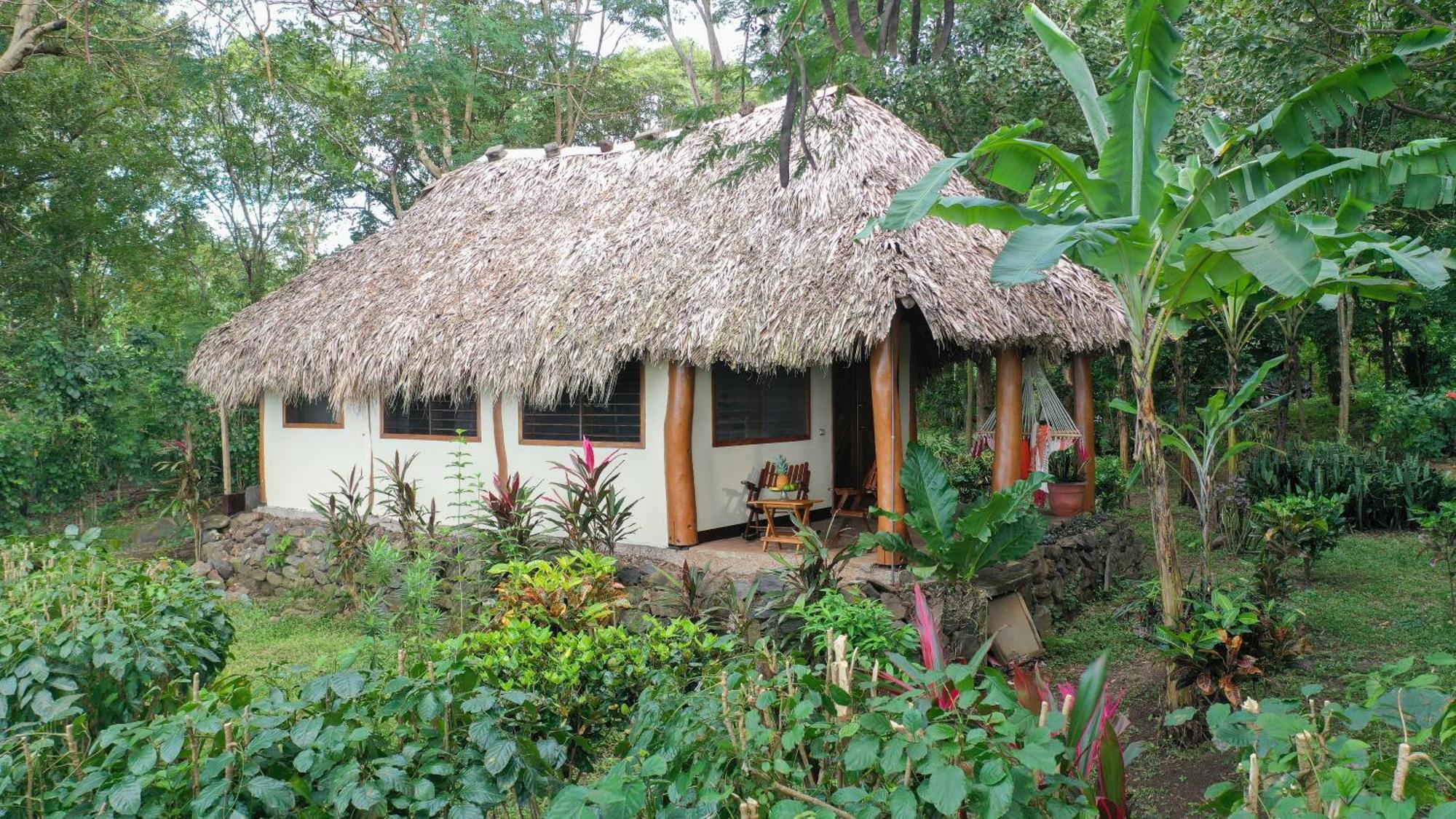 Totoco Eco Resort Balgue Kültér fotó